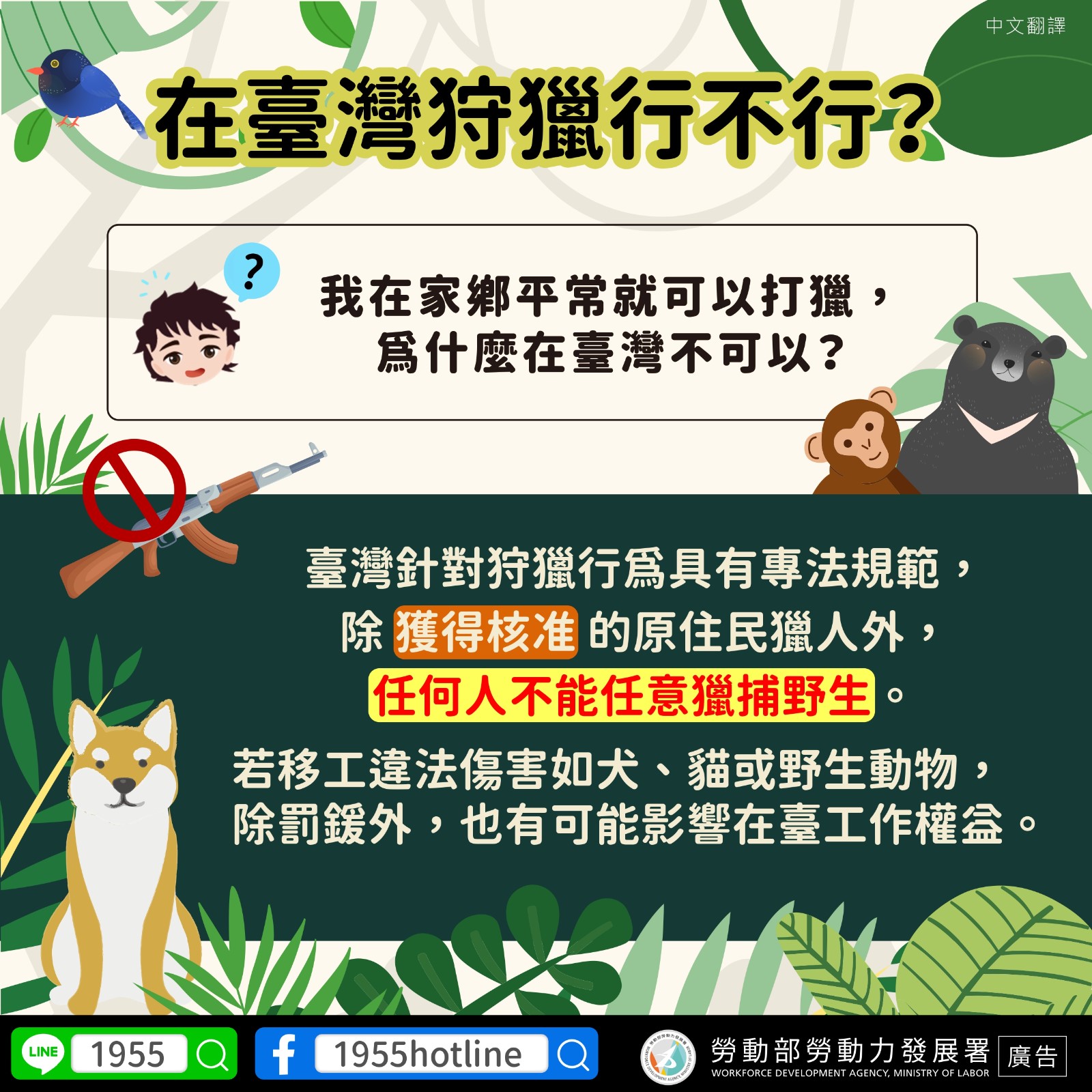 【轉知】新北市政府動物保護防疫處加強宣導外籍移工對野生動物保育法認識，避免觸法（多國語言）照片